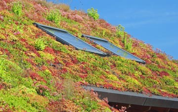 Lympsham living roof systems